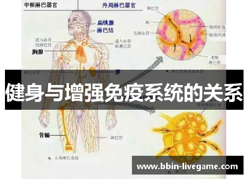 健身与增强免疫系统的关系