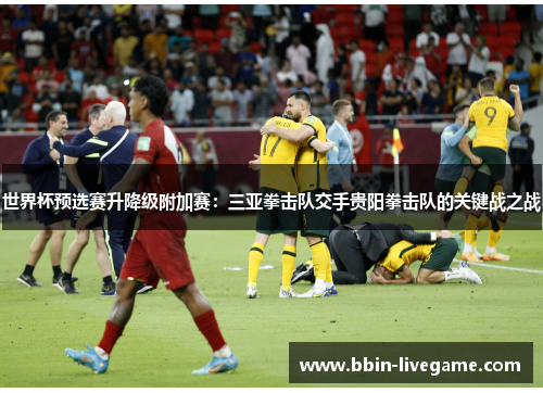 世界杯预选赛升降级附加赛：三亚拳击队交手贵阳拳击队的关键战之战